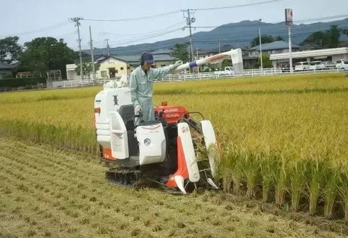 日本小型农业机械自动化 中国农业现代化的必修课