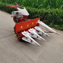 【玉米小麦割晒机 燕麦草小型收割机 拖拉机带的割晒机价格图片】玉米小麦割晒机 燕麦草小型收割机 拖拉机带的割晒机价格